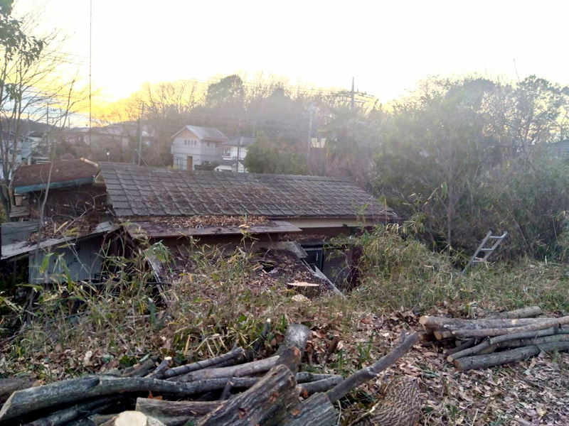 埼玉県比企郡 危険木 伐採工事 完了