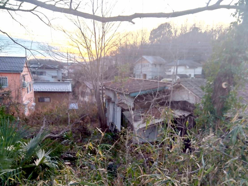 埼玉県比企郡 危険木 伐採工事 完了