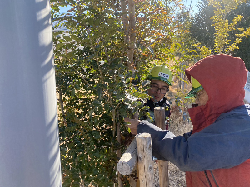 埼玉県入間市 植栽工事 作業中