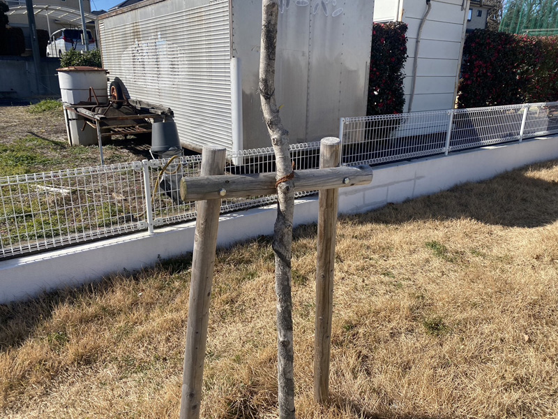 埼玉県入間市 植栽工事 完了