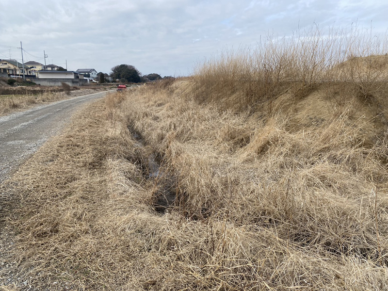 埼玉県さいたま市 草刈り工事 着工前