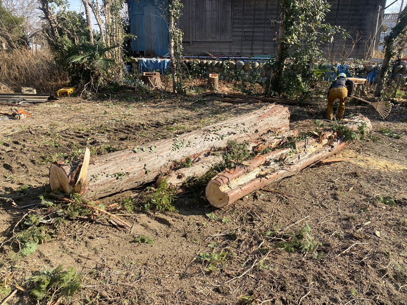 埼玉県比企郡吉見町 伐採工事 作業中