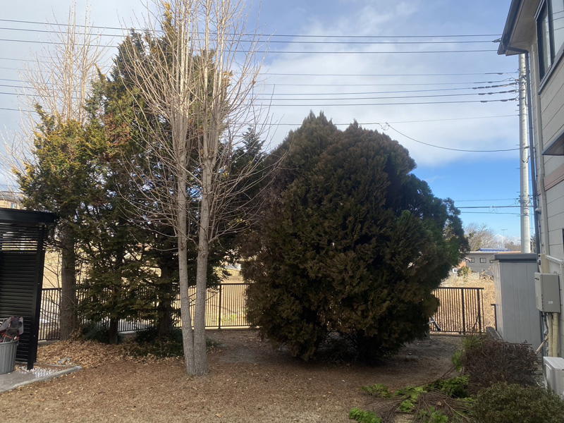 埼玉県比企郡滑川町 強剪定工事 着工前