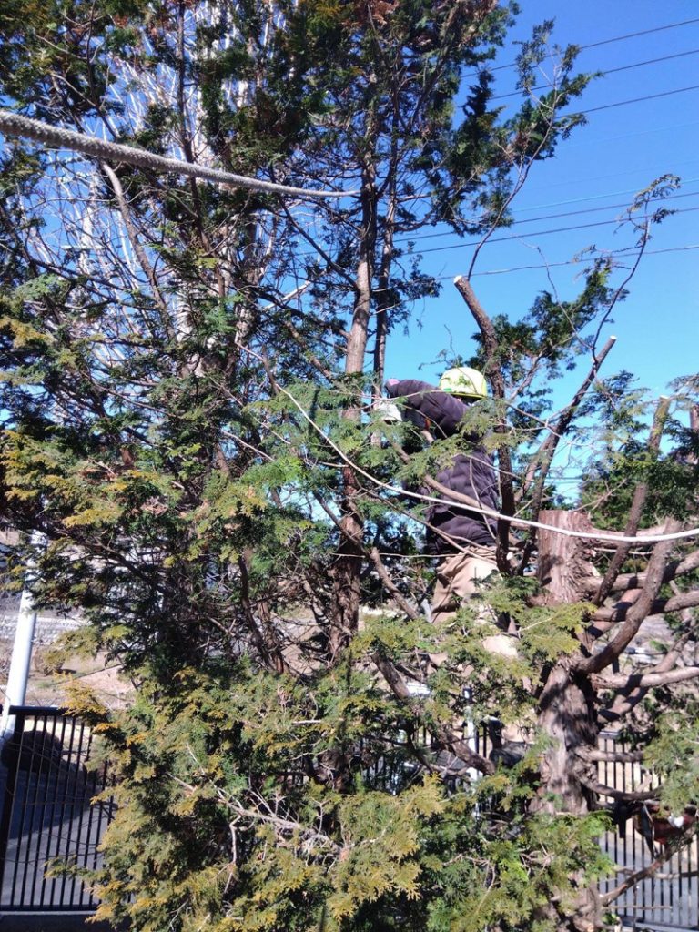 埼玉県比企郡滑川町 強剪定工事 作業中