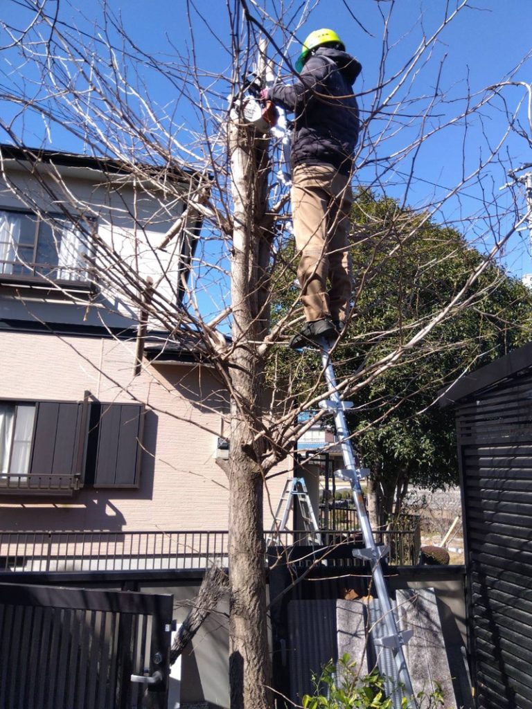 埼玉県比企郡滑川町 強剪定工事 作業中