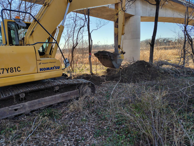 埼玉県熊谷市内 樹木移植工事 作業中