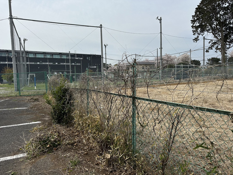 埼玉県内工場 草刈り、剪定工事 着工前