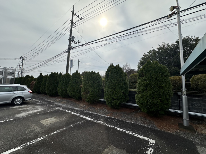 埼玉県内工場 草刈り、剪定工事 着工前