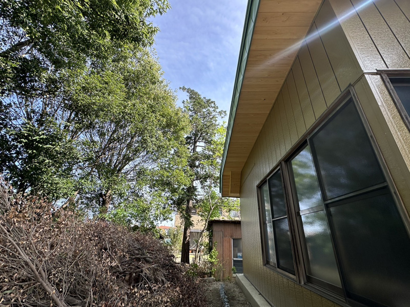 埼玉県比企郡吉見町 枝落とし工事 着工前