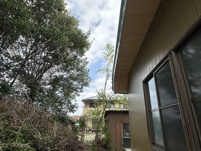 埼玉県比企郡吉見町 枝落とし工事 完了