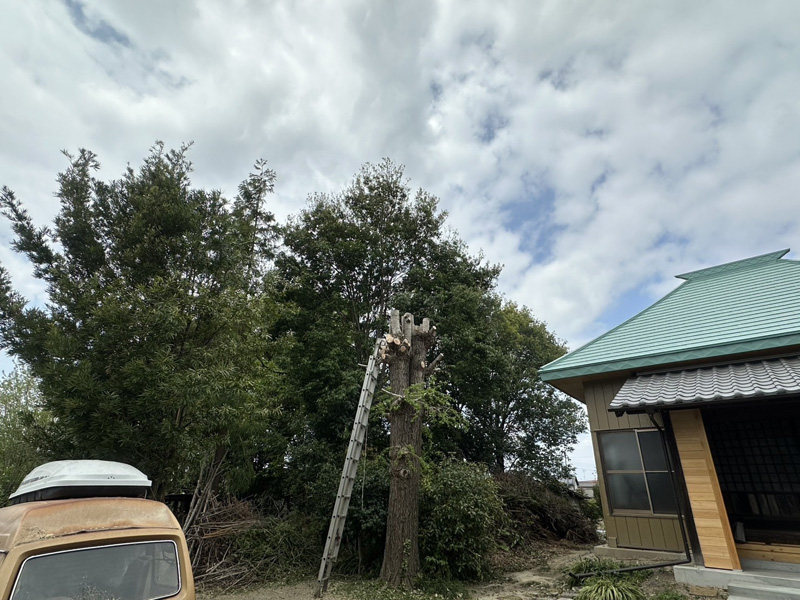 埼玉県比企郡吉見町 枝落とし工事 完了