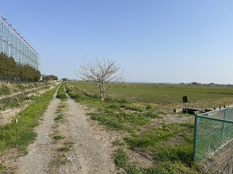 埼玉県鴻巣市 水路沿 伐採工事 着工前