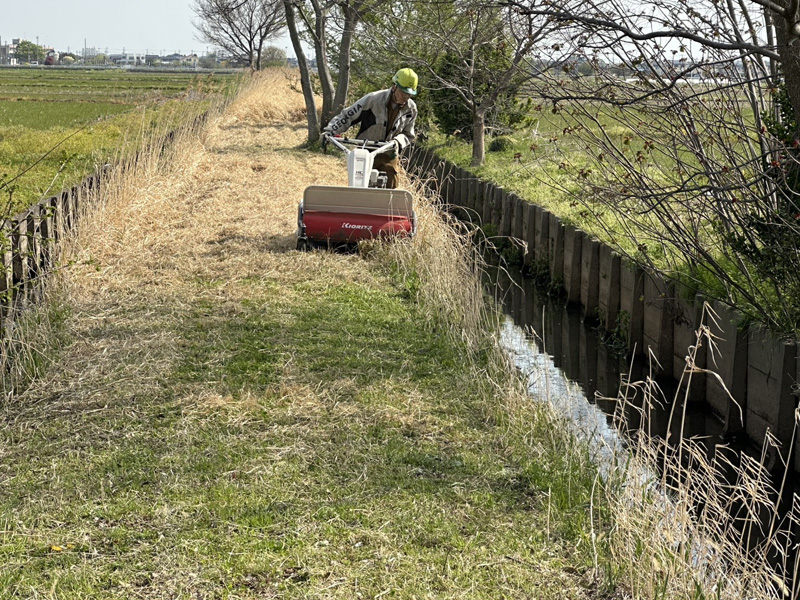 埼玉県鴻巣市 水路沿 伐採工事 施工中