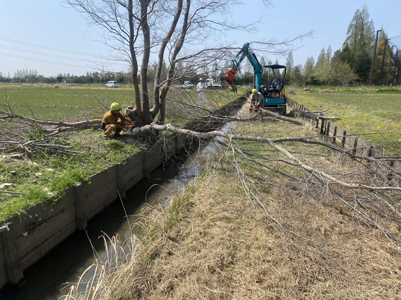 埼玉県鴻巣市 水路沿 伐採工事 施工中
