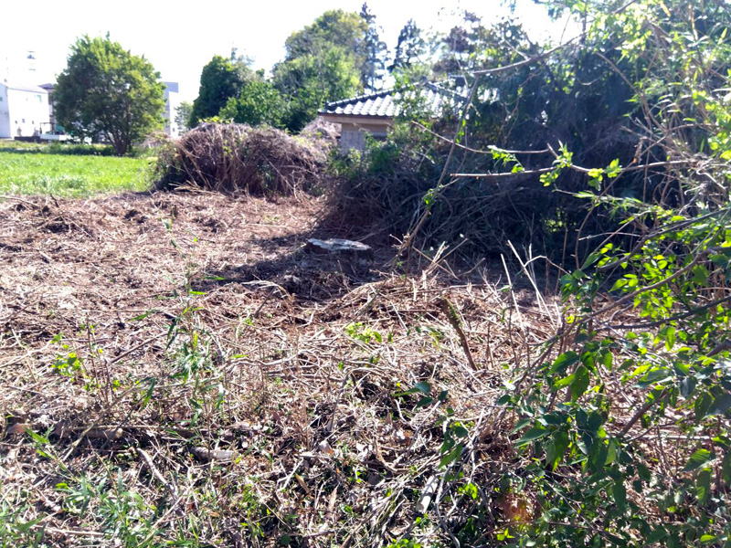 埼玉県鴻巣市 伐採・粉砕工事 完了
