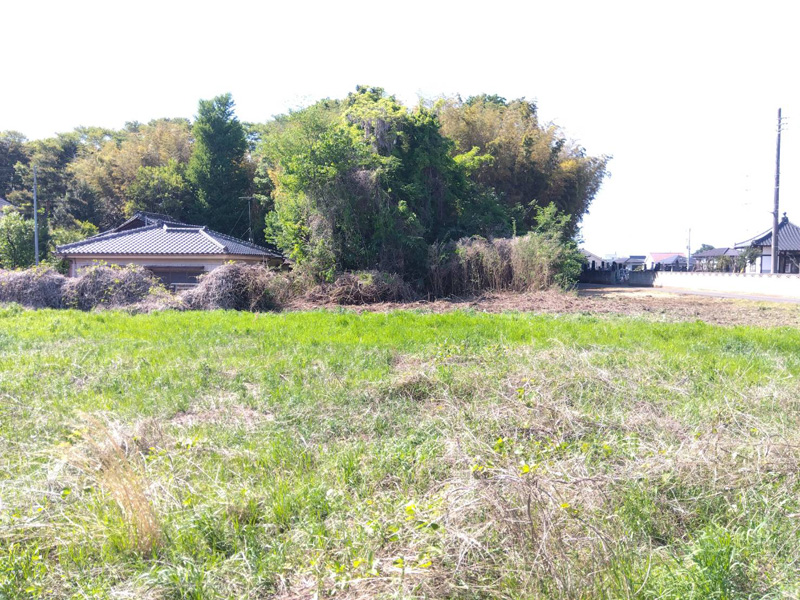 埼玉県鴻巣市 伐採・粉砕工事 完了