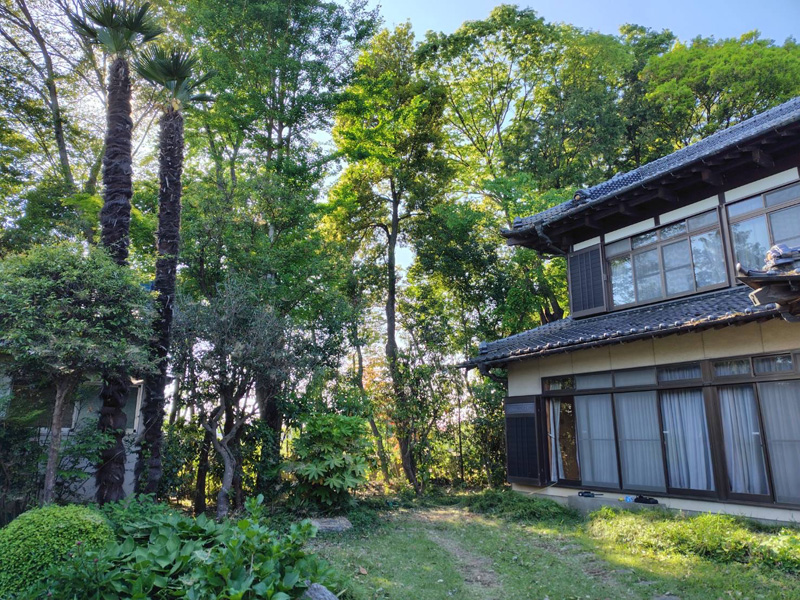 埼玉県比企郡吉見町 個人様宅 伐採剪定工事 完了