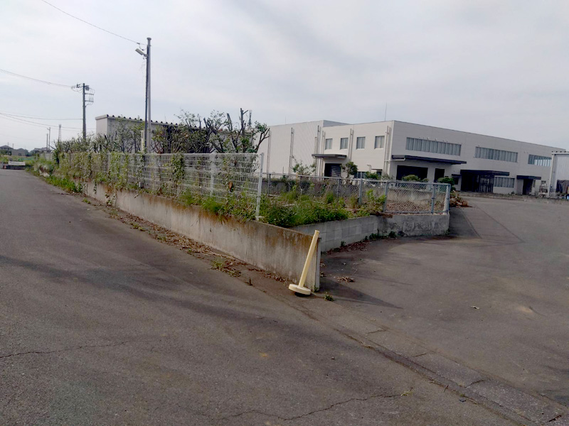 埼玉県鴻巣市 工場敷地内伐採工事 完了