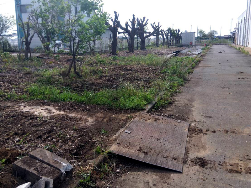 埼玉県鴻巣市 工場敷地内伐採工事 完了