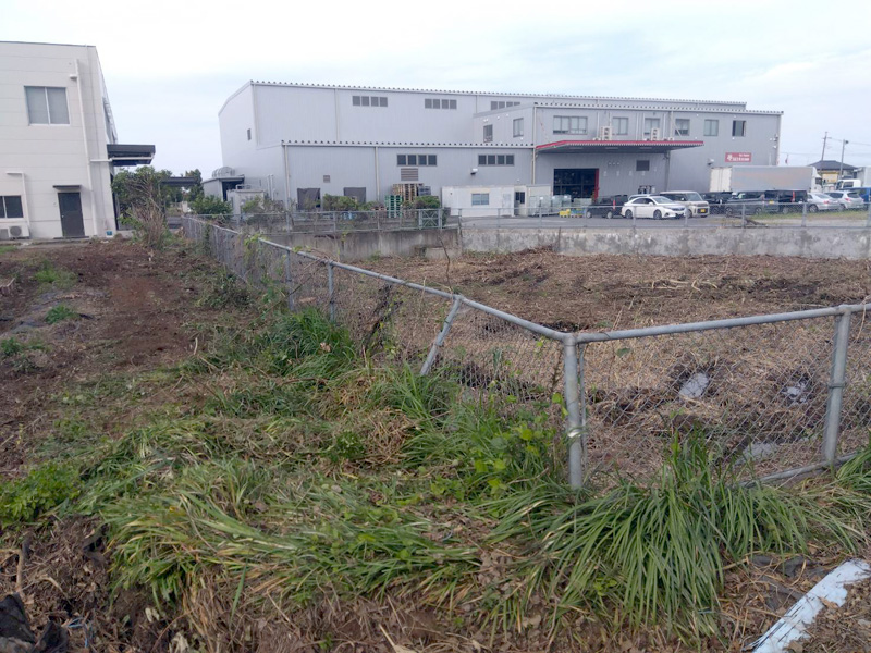 埼玉県鴻巣市 工場敷地内伐採工事 完了