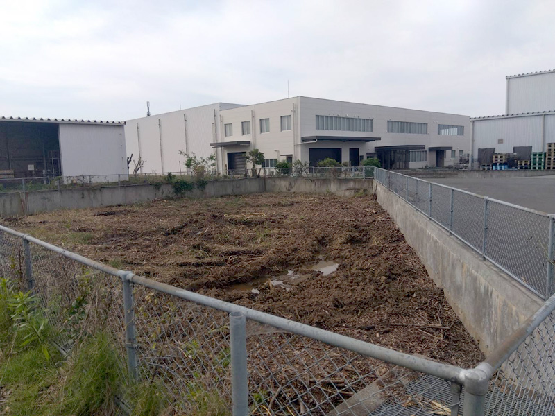 埼玉県鴻巣市 工場敷地内伐採工事 完了