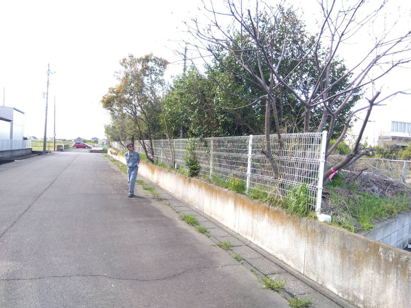 埼玉県鴻巣市 工場敷地内伐採工事 着工前