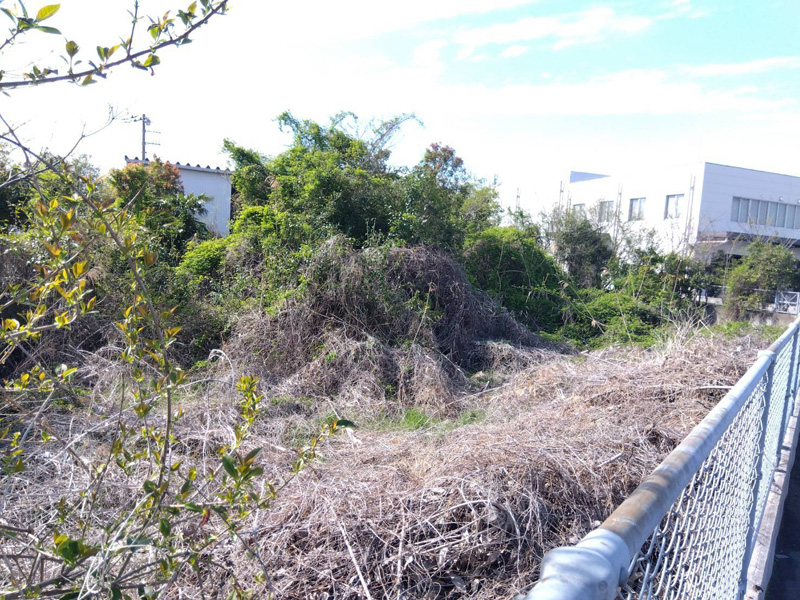 埼玉県鴻巣市 工場敷地内伐採工事 着工前