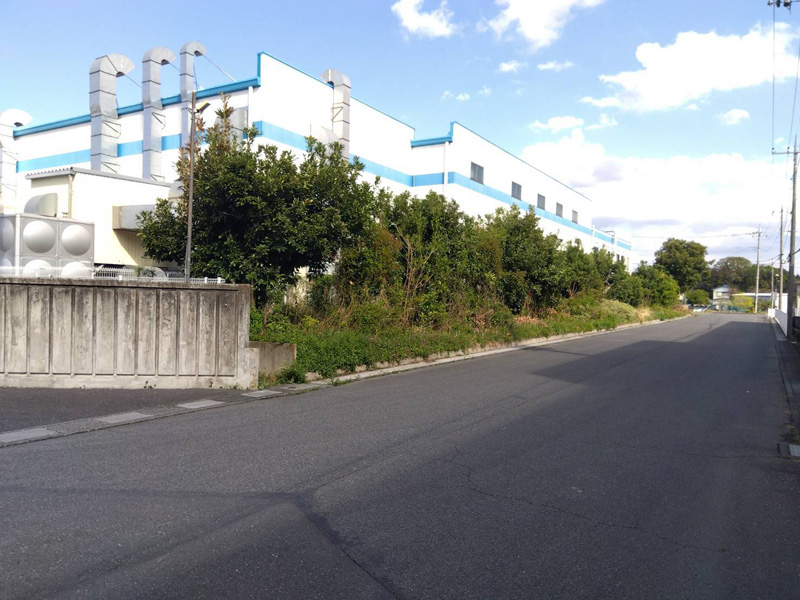 埼玉県鴻巣市 工場敷地内伐採工事 着工前