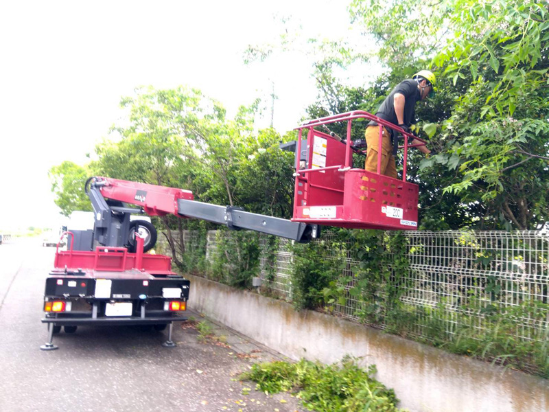 埼玉県鴻巣市 工場敷地内伐採工事 作業中