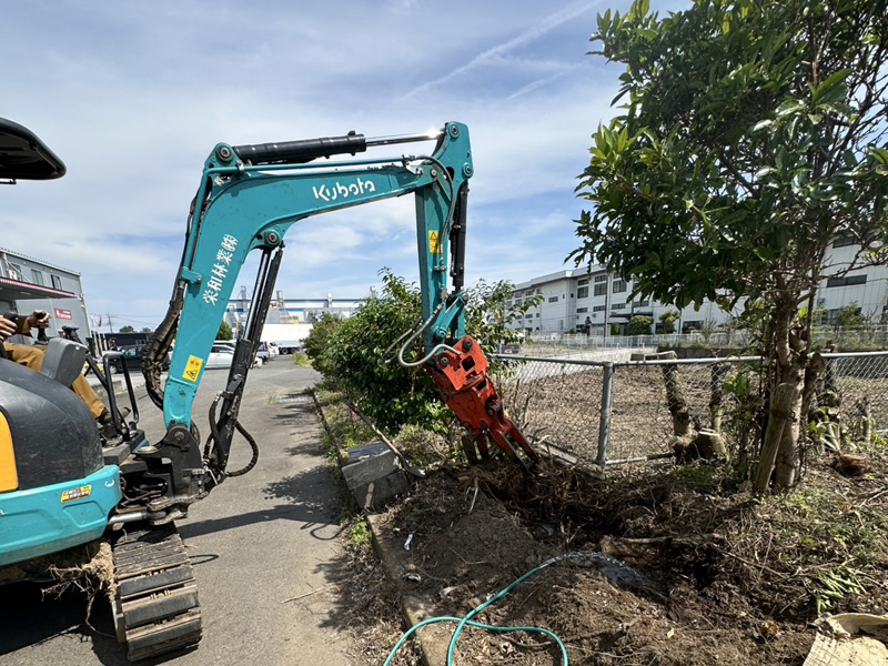 埼玉県鴻巣市 工場敷地内伐採工事 作業中