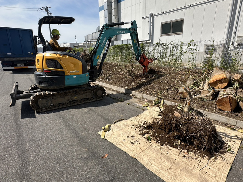 埼玉県鴻巣市 工場敷地内伐採工事 作業中