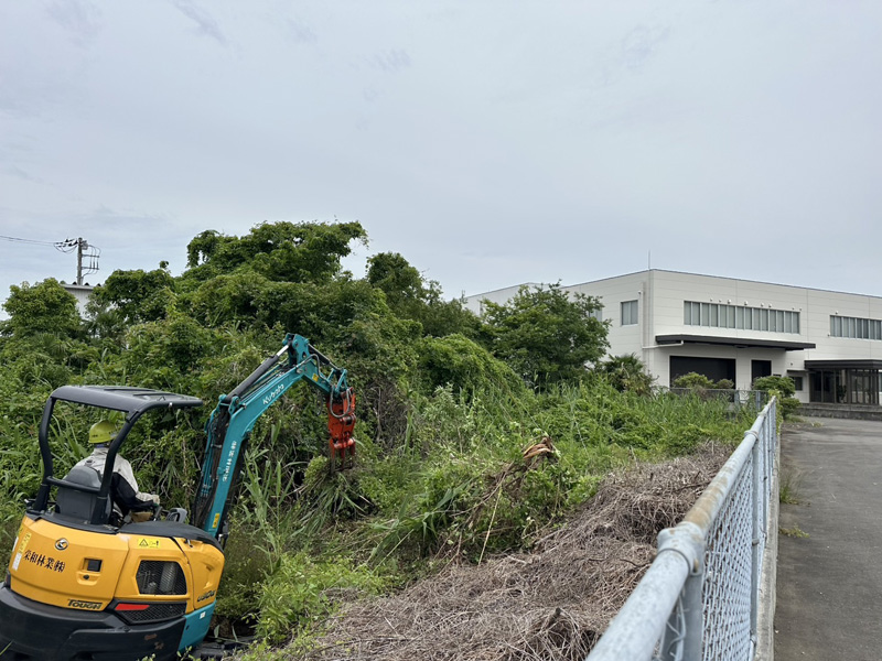 埼玉県鴻巣市 工場敷地内伐採工事 作業中
