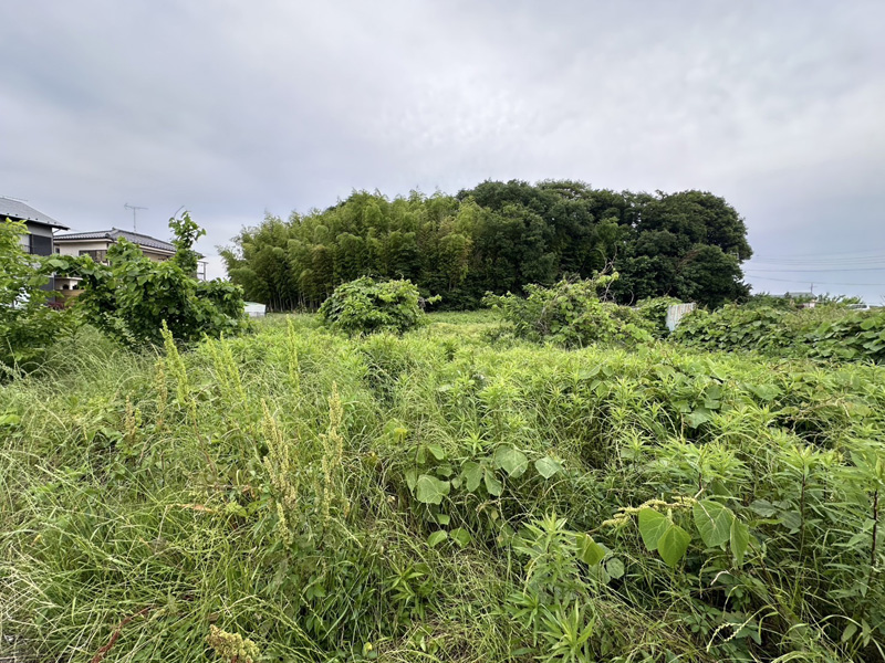 埼玉県鴻巣市内寺院 草刈伐採工事 着工前