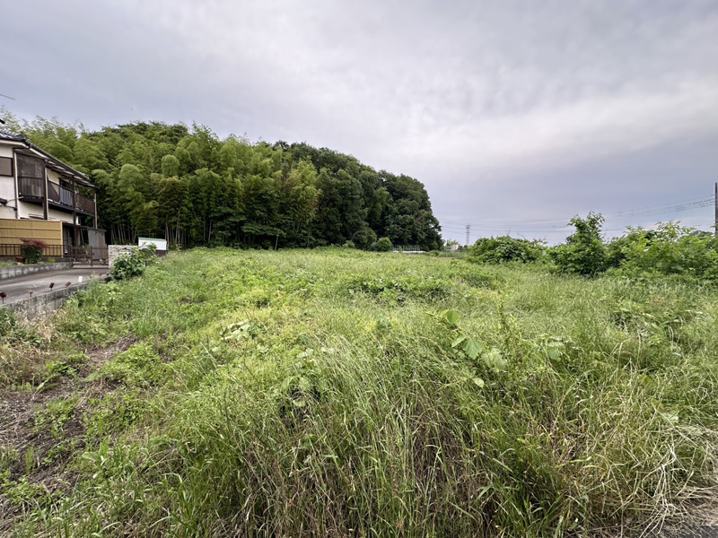 埼玉県鴻巣市内寺院 草刈伐採工事 着工前