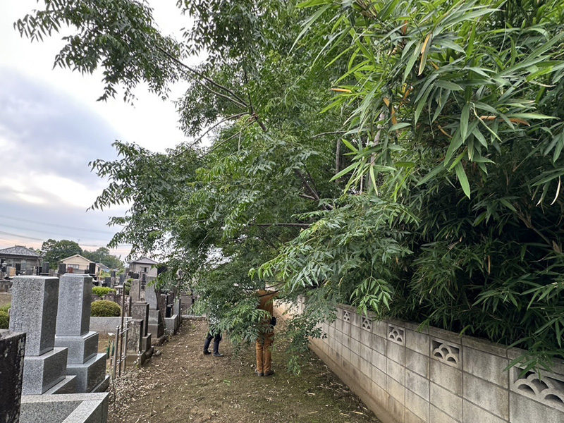 埼玉県鴻巣市内寺院 草刈伐採工事 着工前