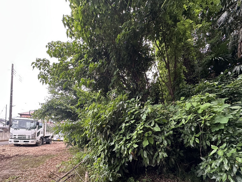 埼玉県鴻巣市内寺院 草刈伐採工事 着工前