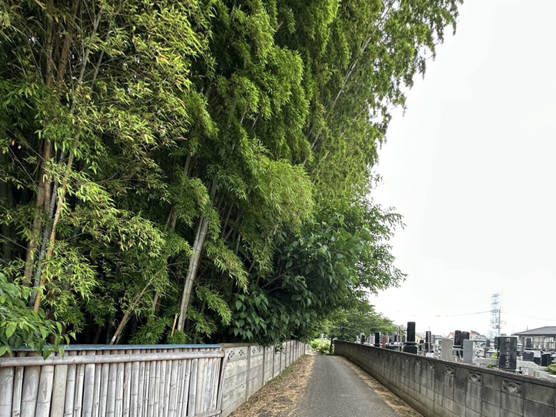 埼玉県鴻巣市内寺院 草刈伐採工事 着工前