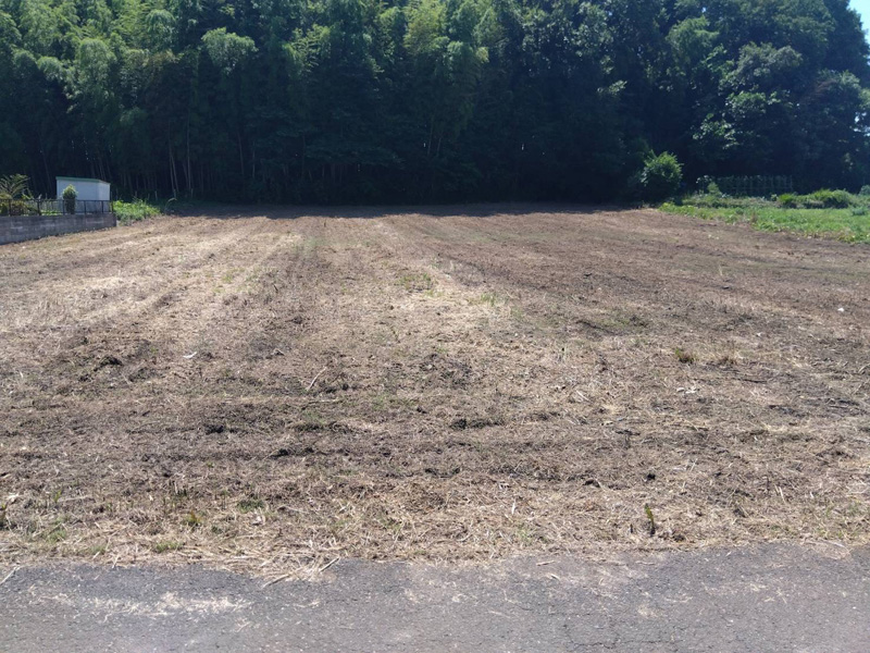埼玉県鴻巣市内寺院 草刈伐採工事 完了
