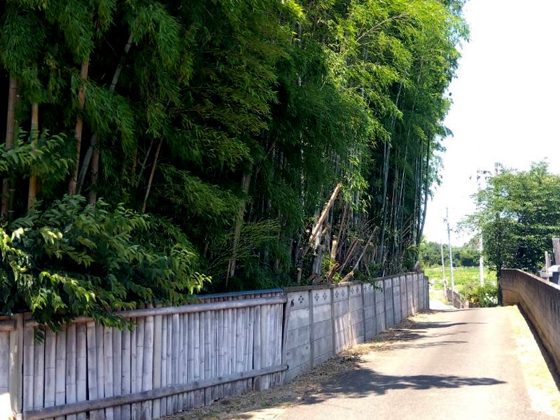 埼玉県鴻巣市内寺院 草刈伐採工事 完了