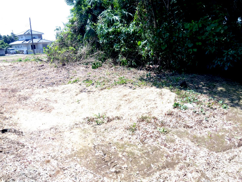 埼玉県鴻巣市内寺院 草刈伐採工事 完了