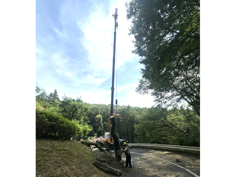 埼玉県内ゴルフ場 掛木伐採工事 施工中