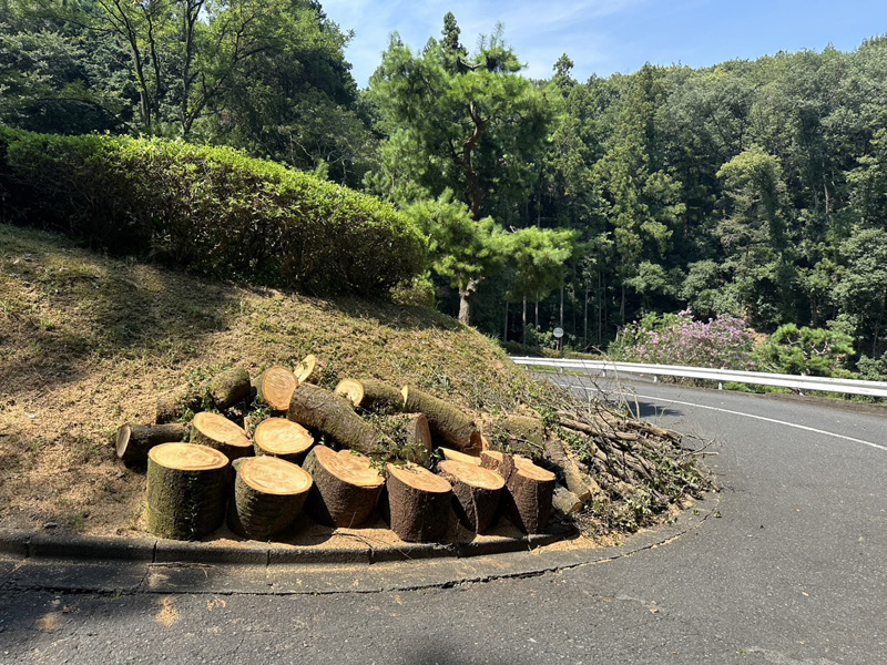 埼玉県内ゴルフ場 掛木伐採工事 完了