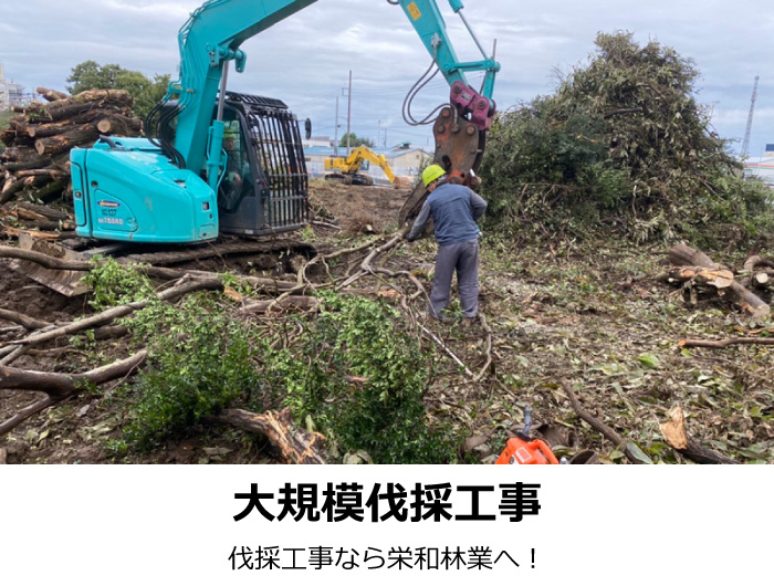 大規模伐採工事