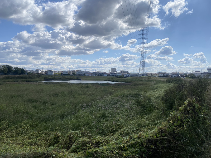 埼玉県内 水路と調節池の草刈り工事 着工前