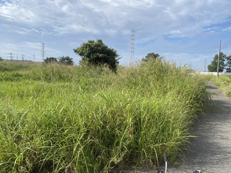 埼玉県内 水路と調節池の草刈り工事 着工前