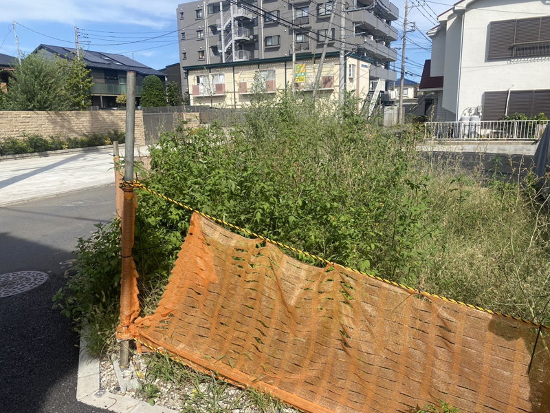 埼玉県内商業施設剪定工事 着工前