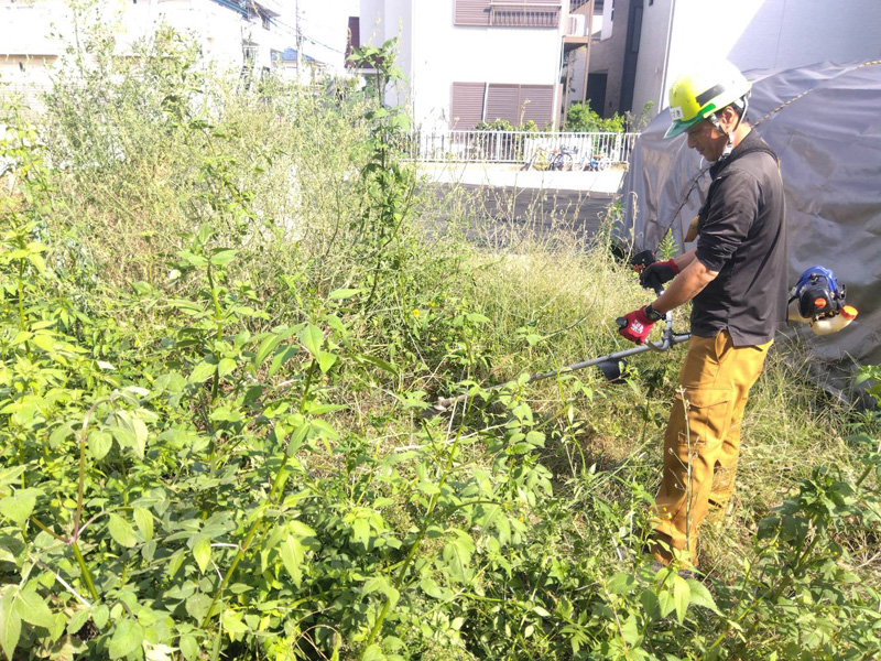 埼玉県内商業施設剪定工事 施工中