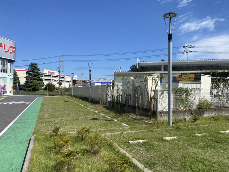 埼玉県内商業施設剪定工事 完了