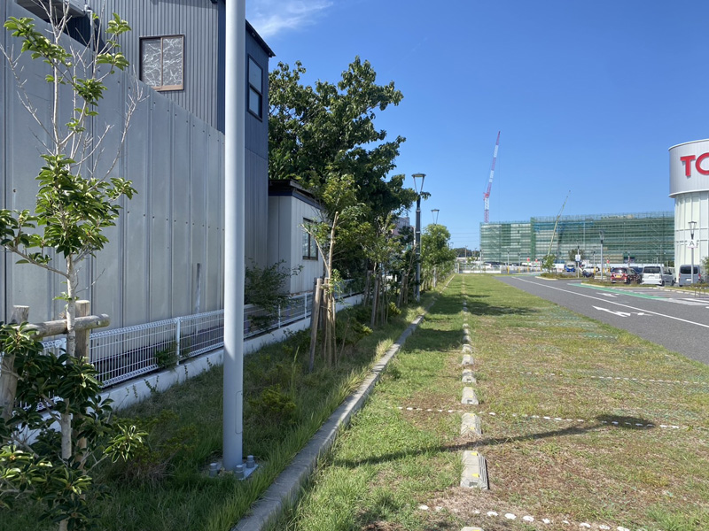 埼玉県内商業施設剪定工事 完了