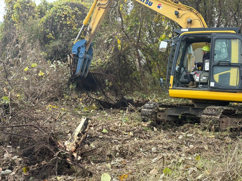 埼玉県北足立郡伊奈町 伐採伐根工事 工事中